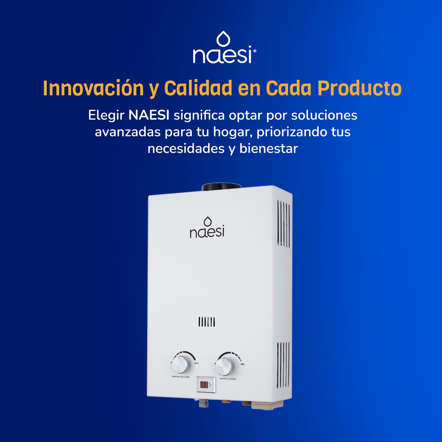 Calentador De Agua A Gas 2 Servicios 12 L
