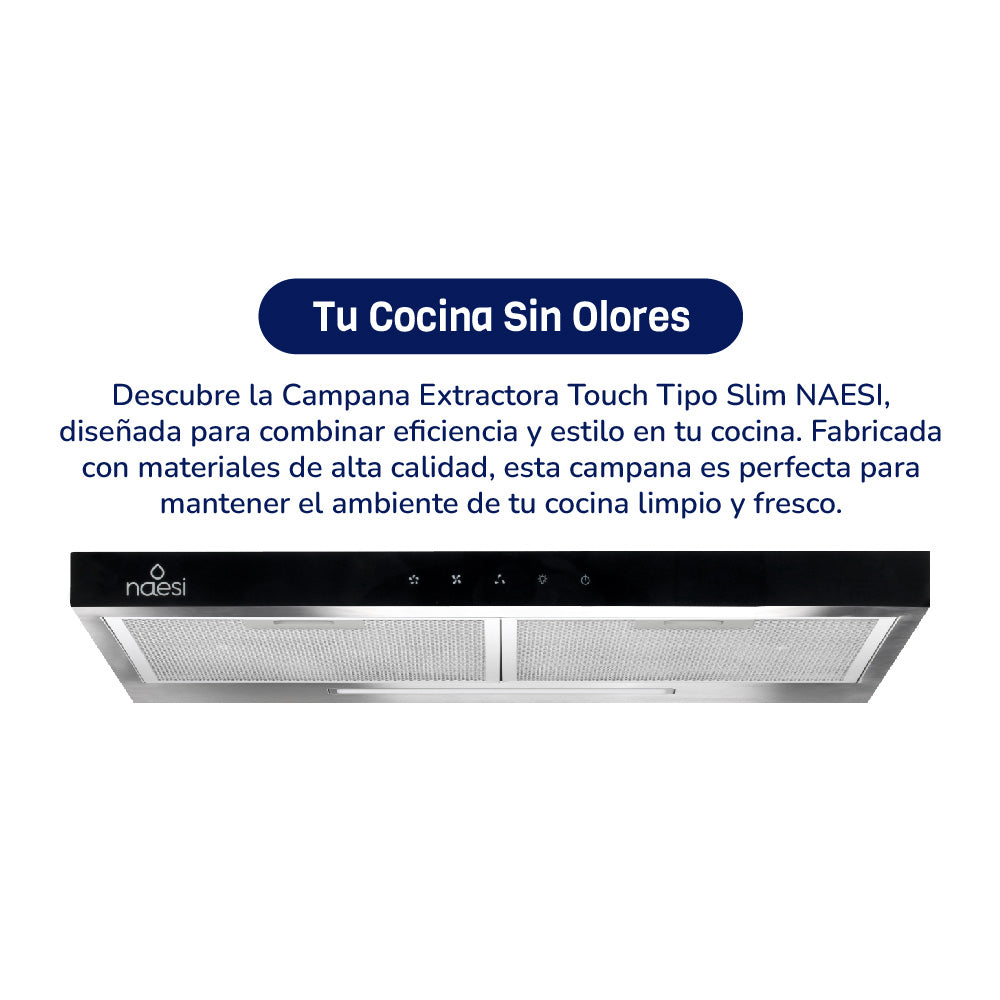 Campana De Cocina Extractora-Purificadora 60 cm Para Pared Naesi